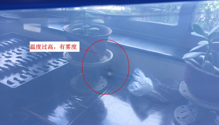 注塑制品质量缺陷分析（六）造成制品表面有雾度的主要原因是什么？